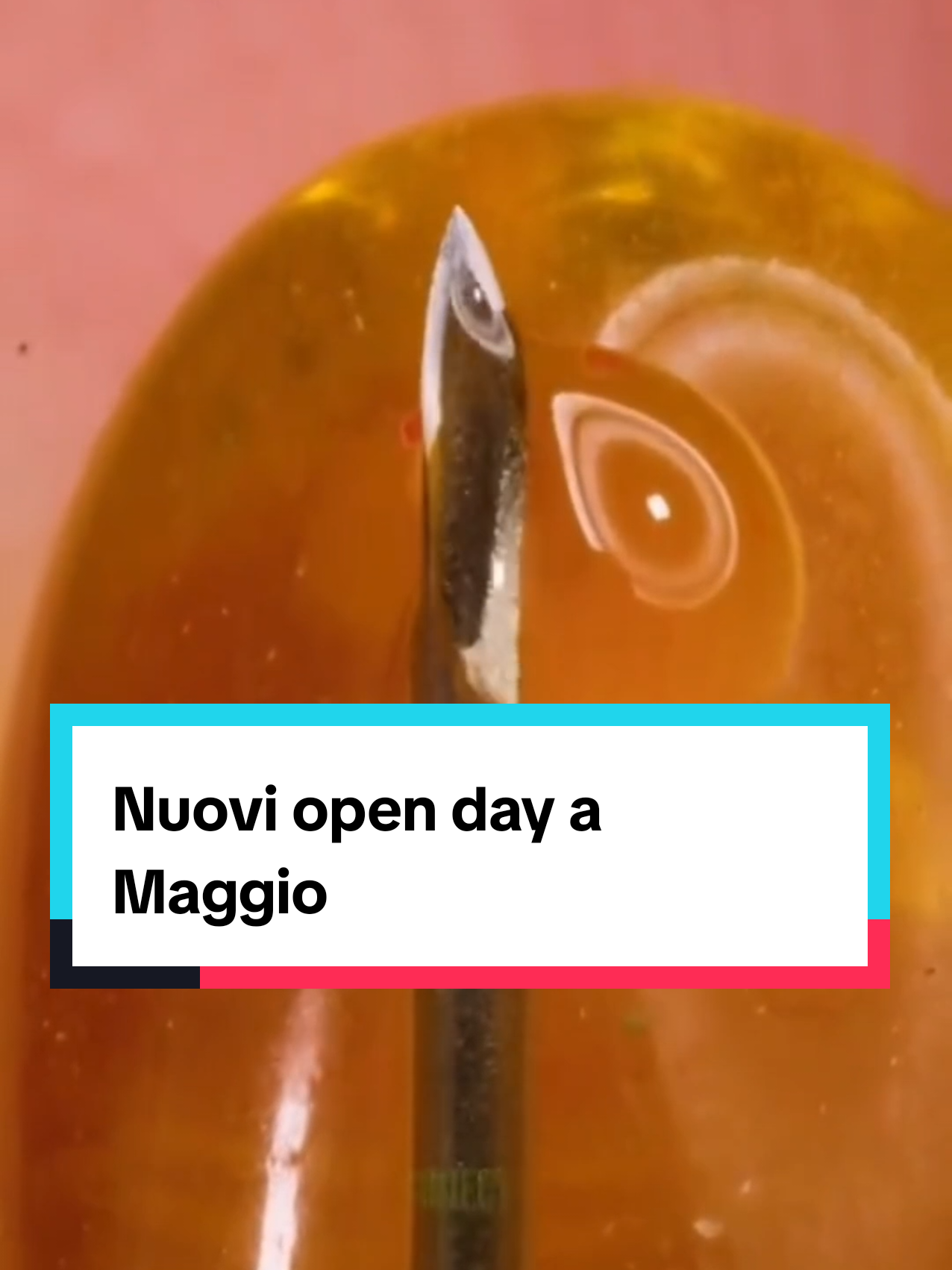 @Daniel De Vincenzo