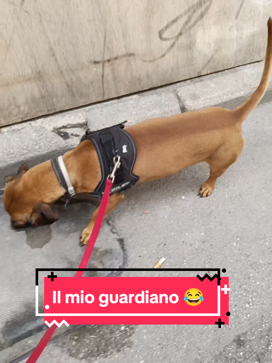 @DanielaTheSaint