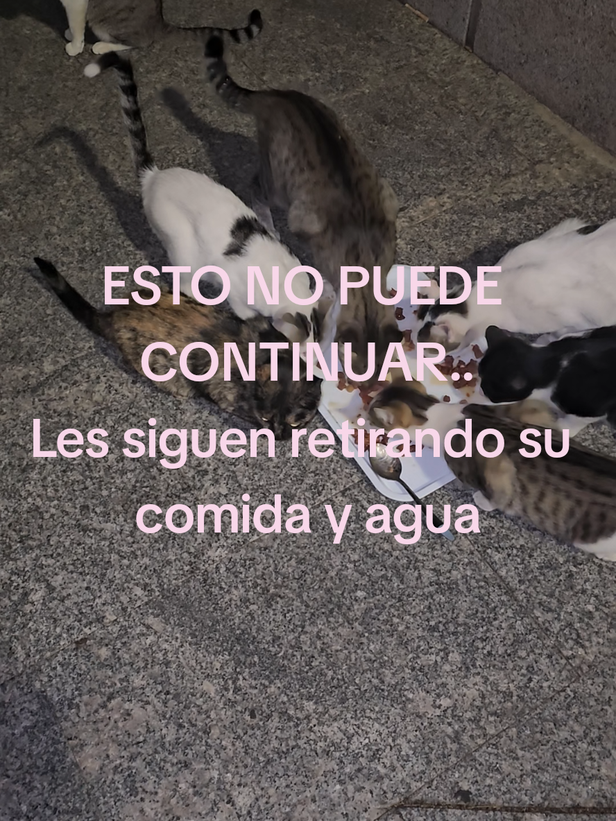 @garritasespaciales