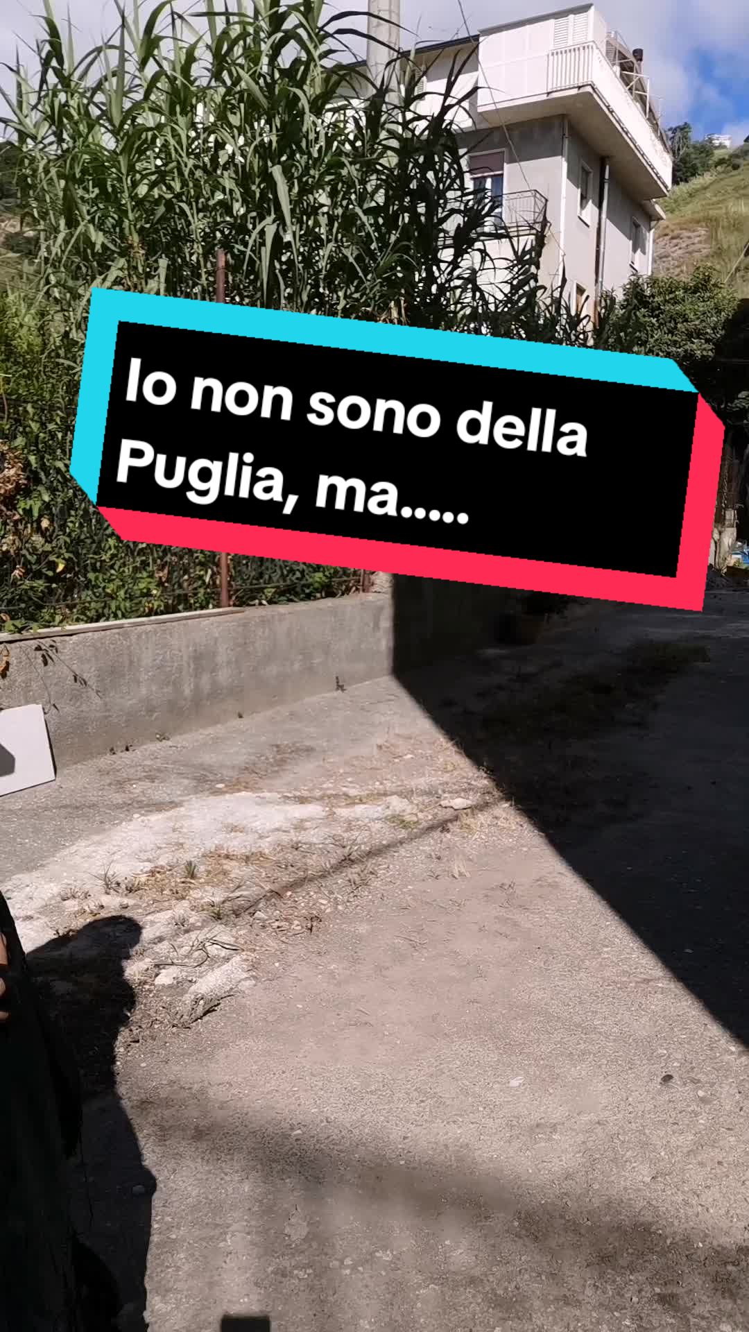 @Edvige