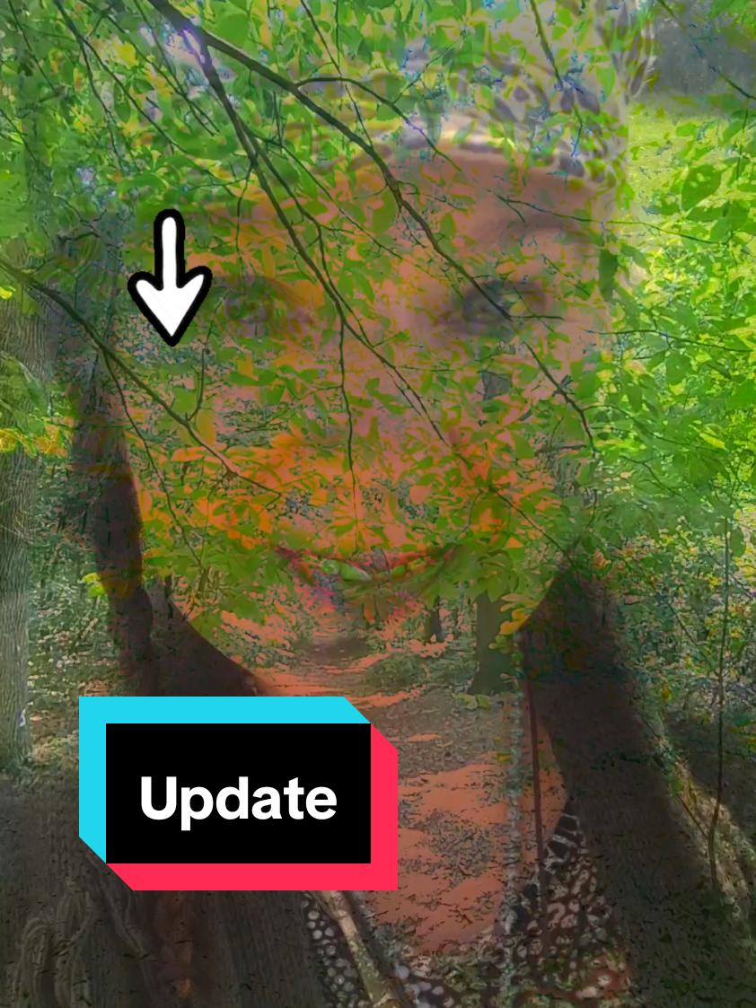 @Shelly🏴🇳🇱🐕💚🦋