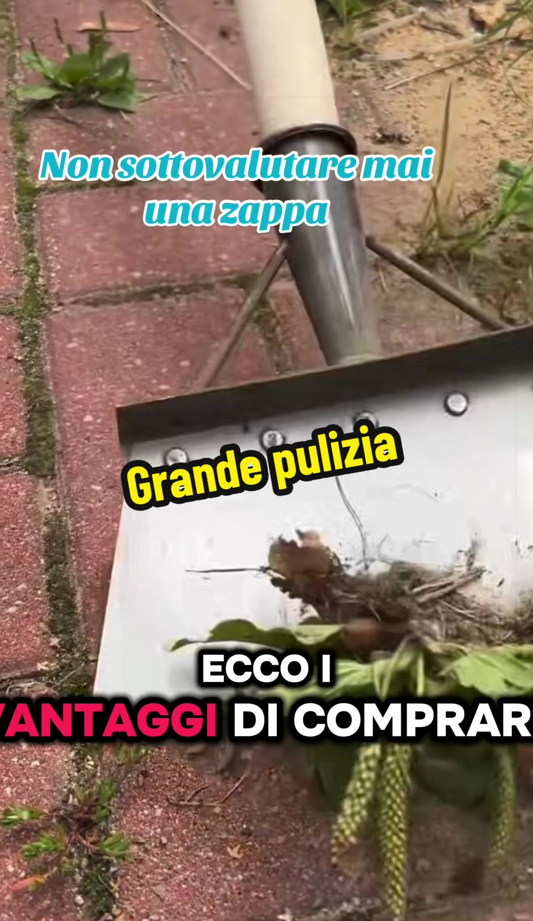 @Alessandro Cuomo ♌️