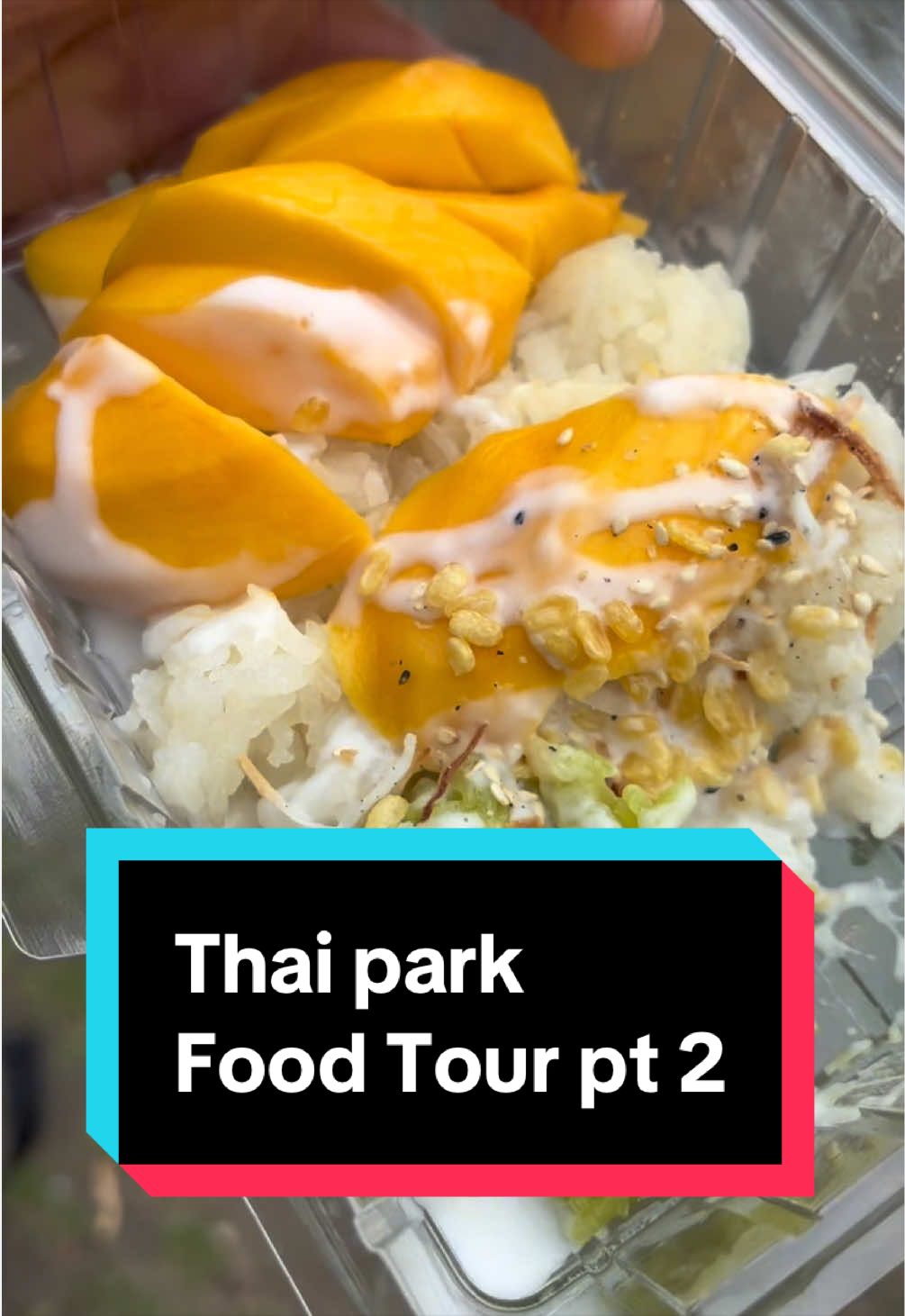 @Dan | UGC | Food & Travel