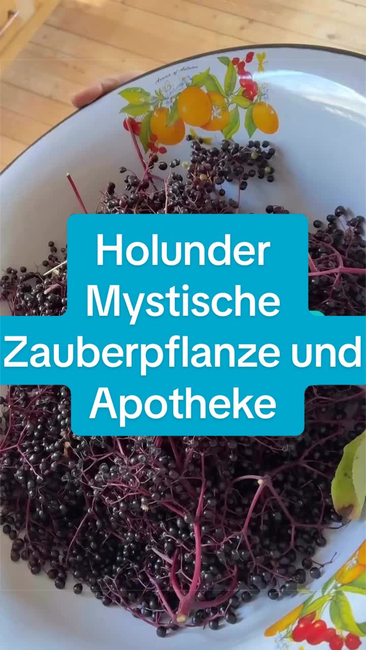 @hoiwazopf