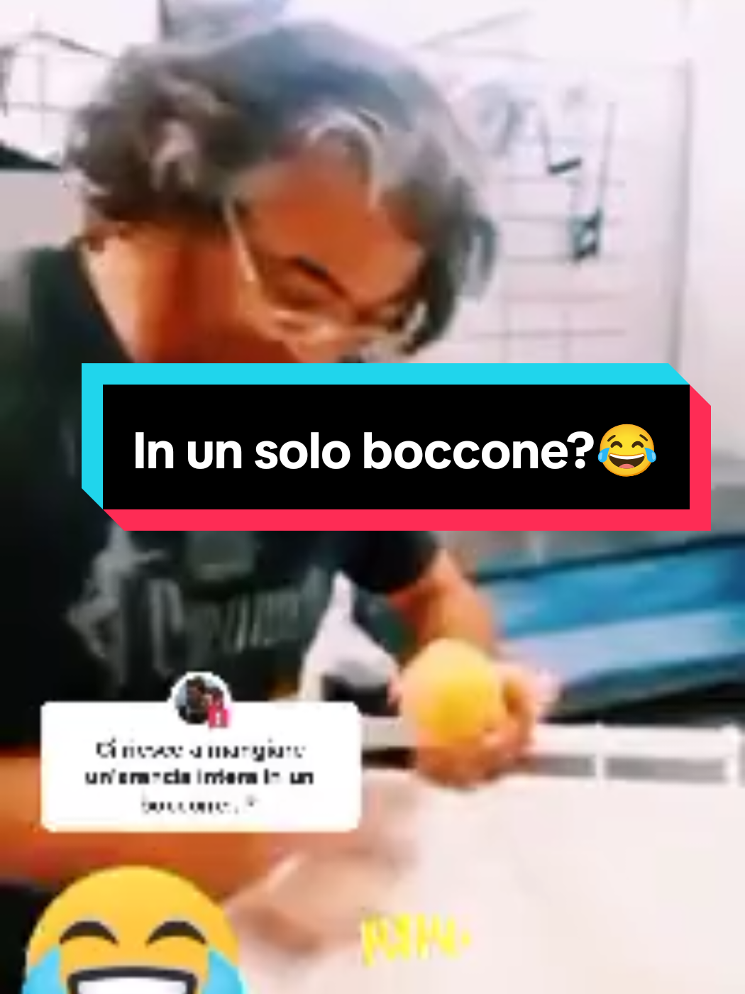@Manuelnapo84