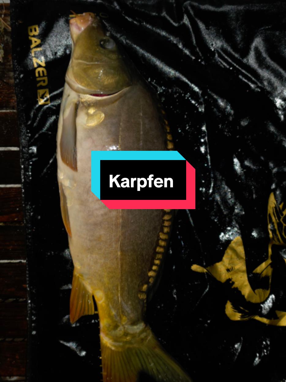 @🐉🎣Angel Kalle 🎣❤️🔥