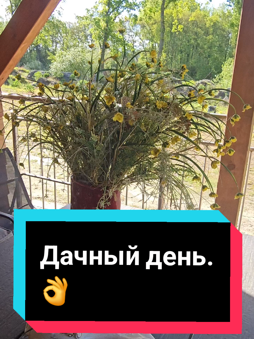 @МВ💥💥💥💥💥💌💥💥💥💥💥