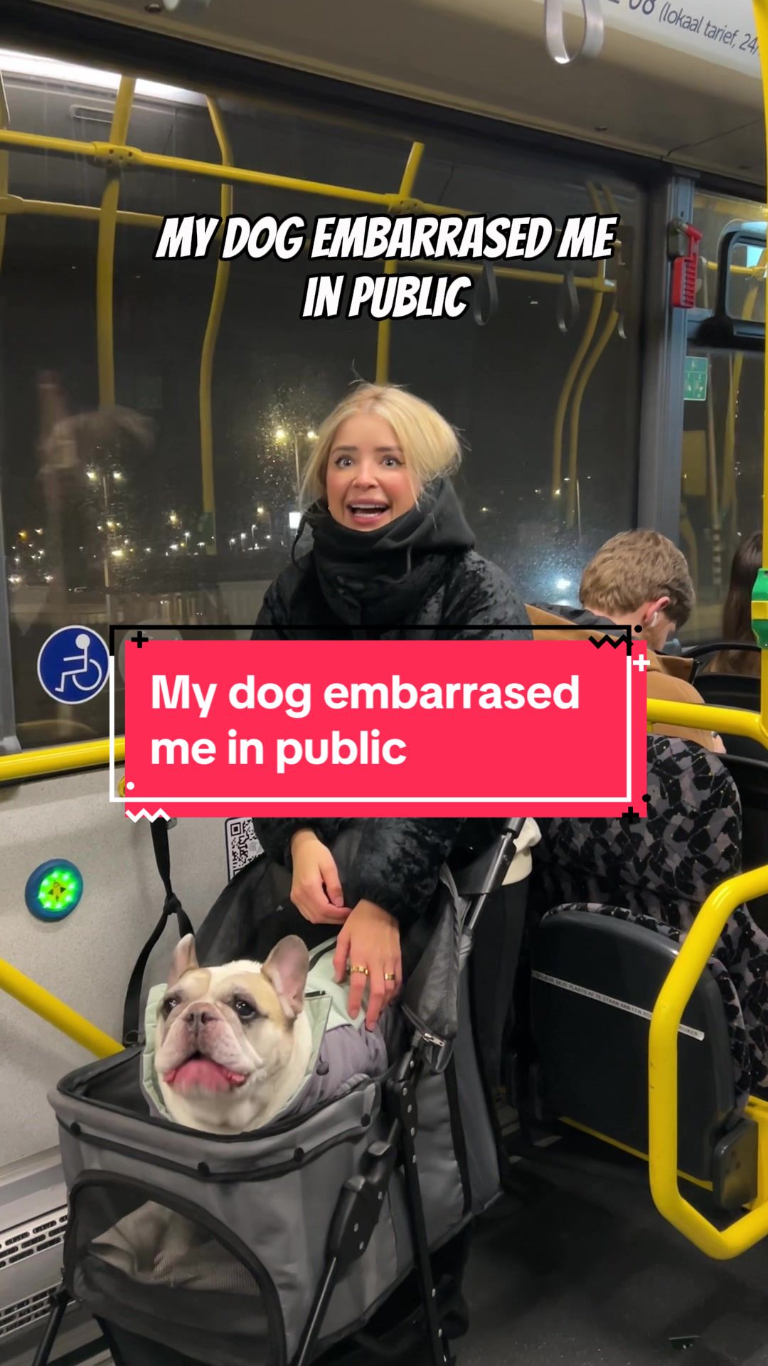@Sunny 🐶