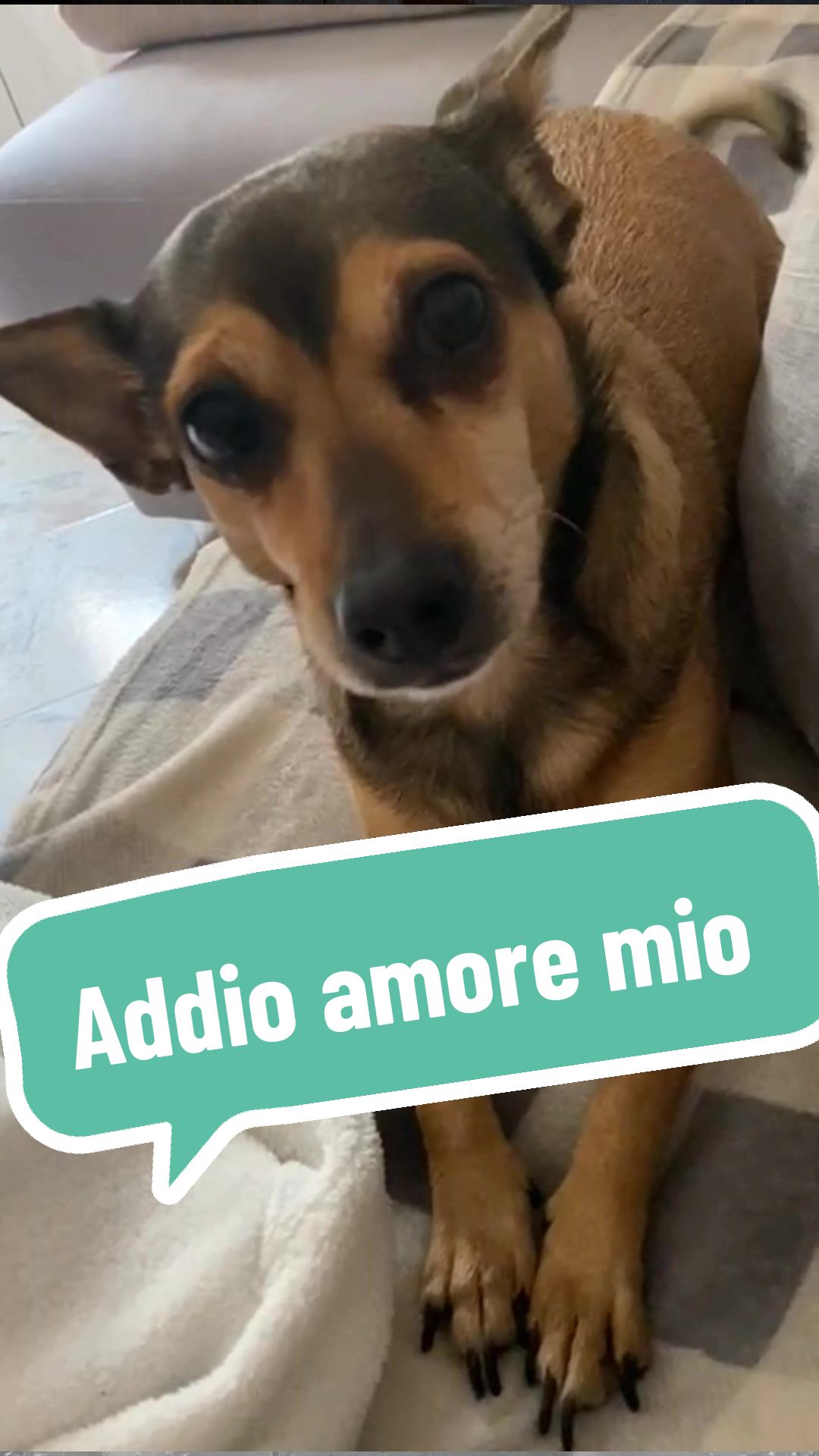 @Giovanni Aloi