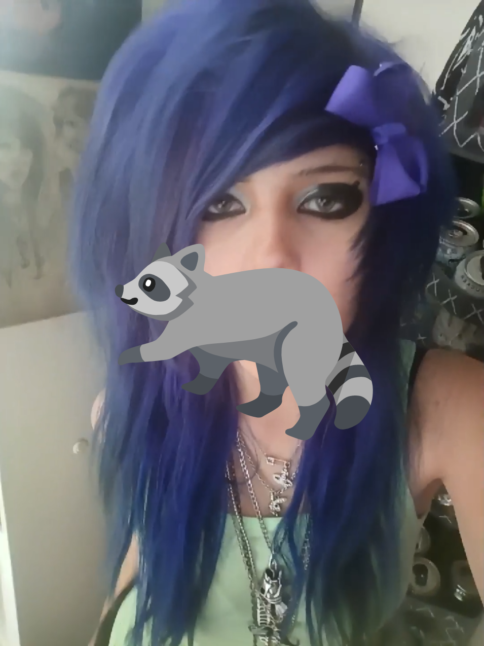 @💜𝕷𝖎𝖛𝖘 𝕽𝖆𝖈𝖈𝖔𝖔𝖓𝖘🦝