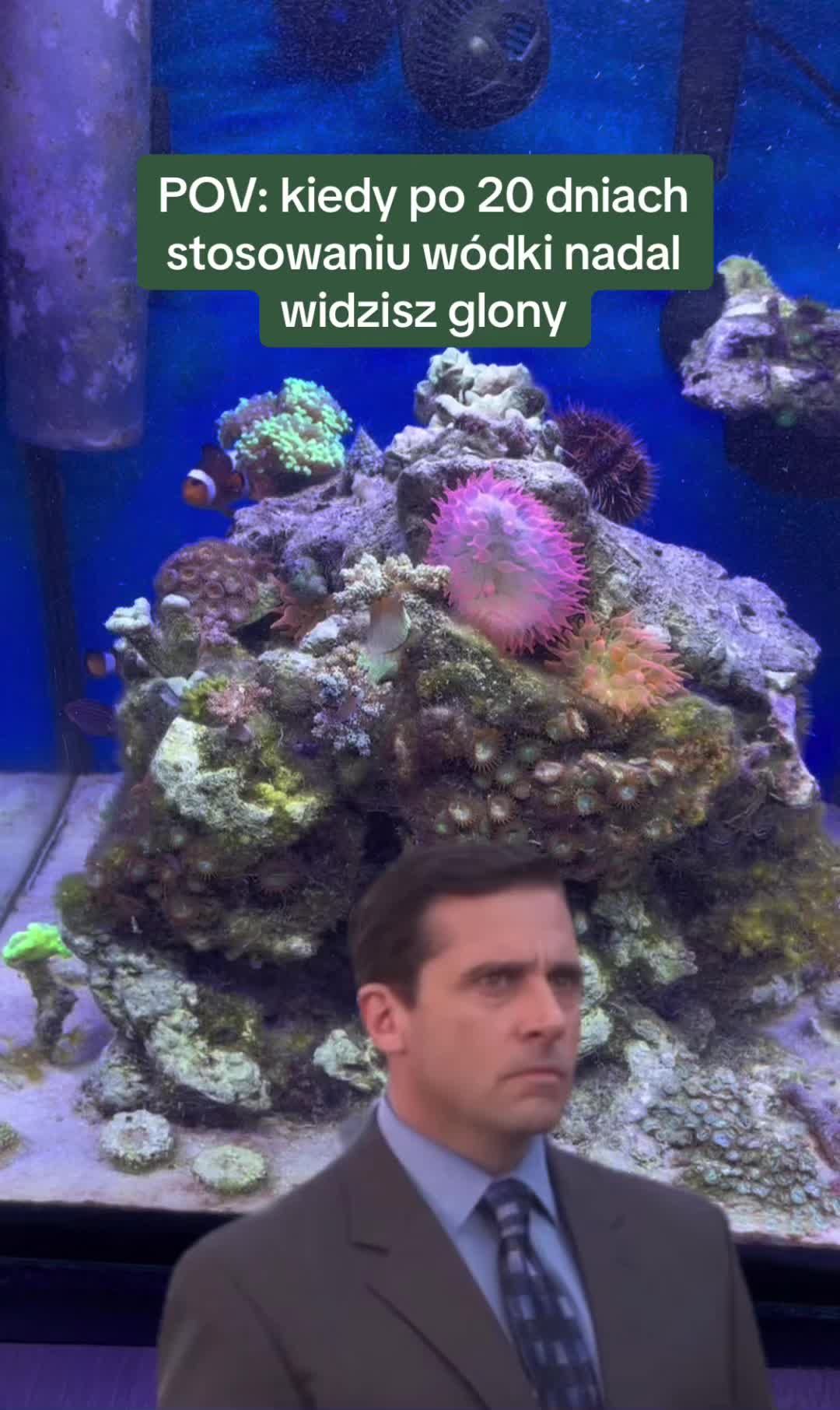 @Aquarista