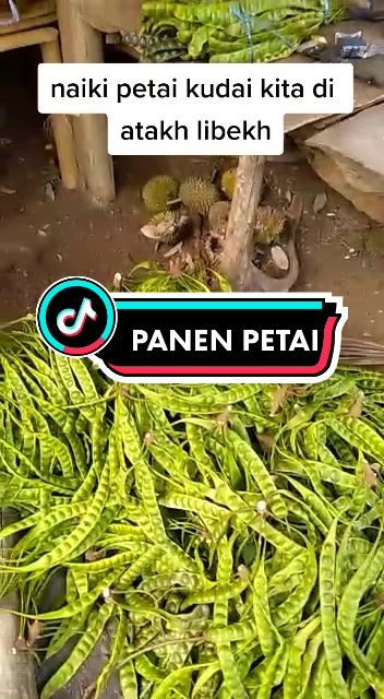 @Iza Amri