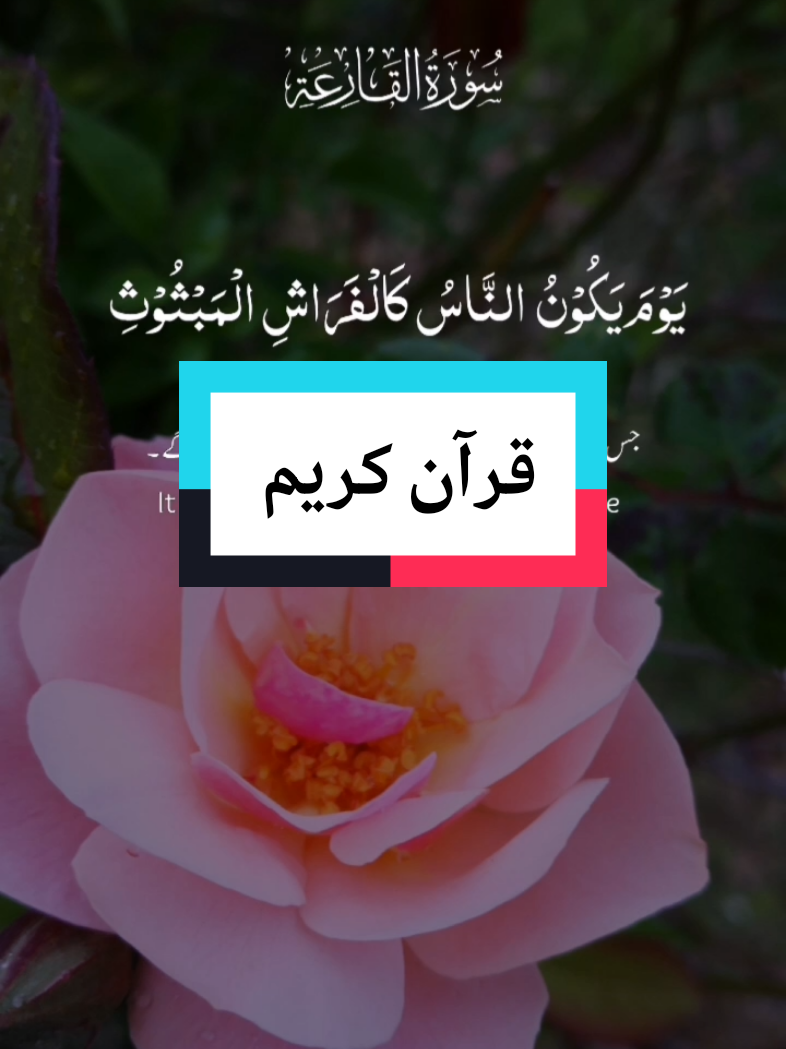 @Idoghlaf Mohamed