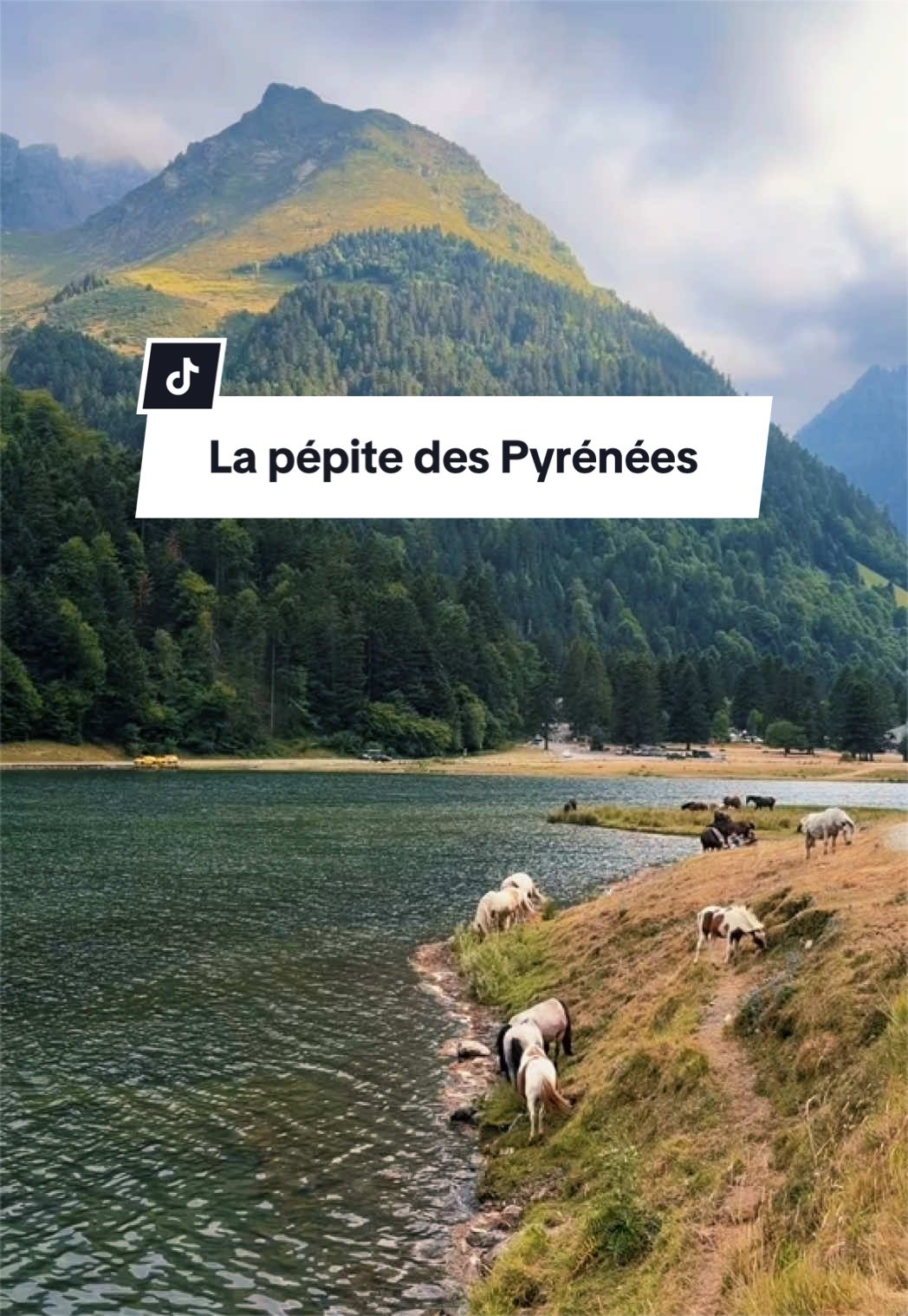 @Laetitia Gimenez