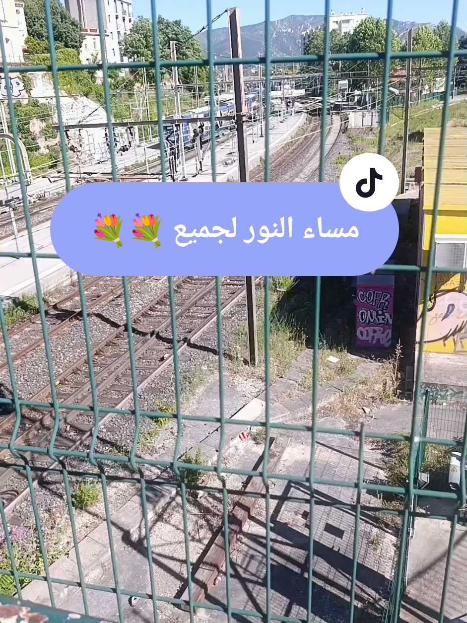 @💝👑🌟Malak 13🌟👑💝