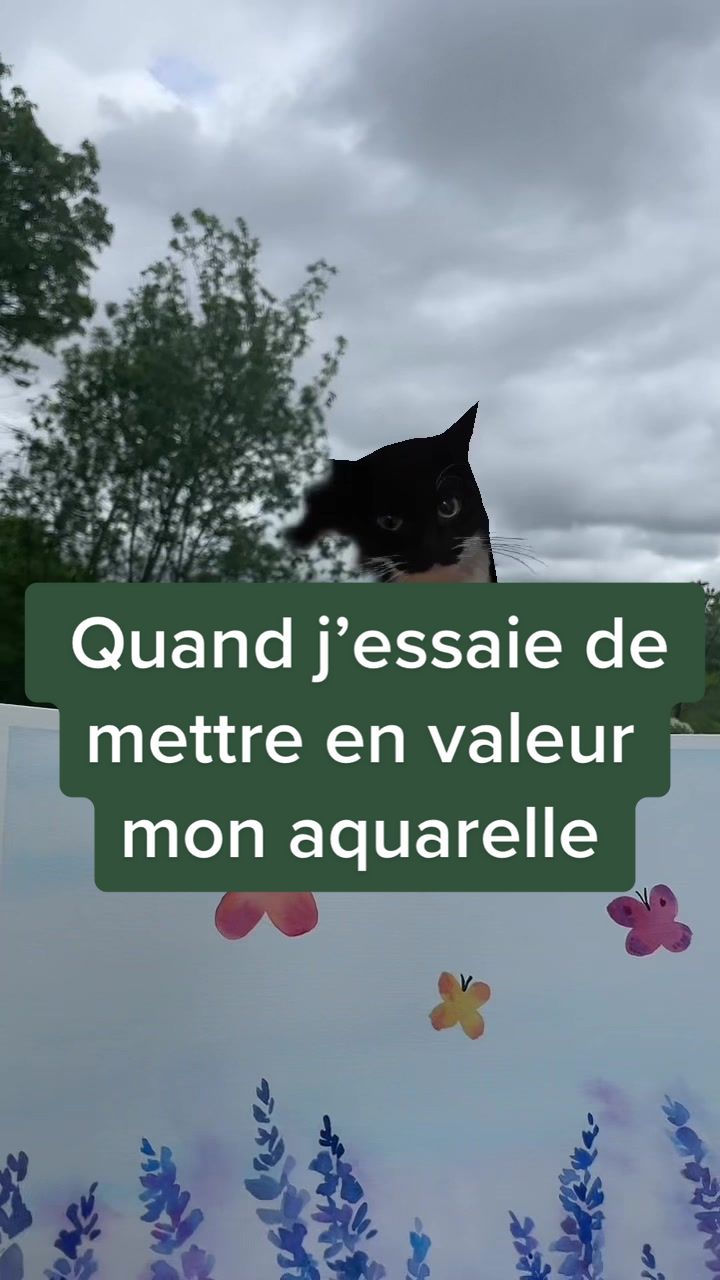 @Bonjourcouleurs