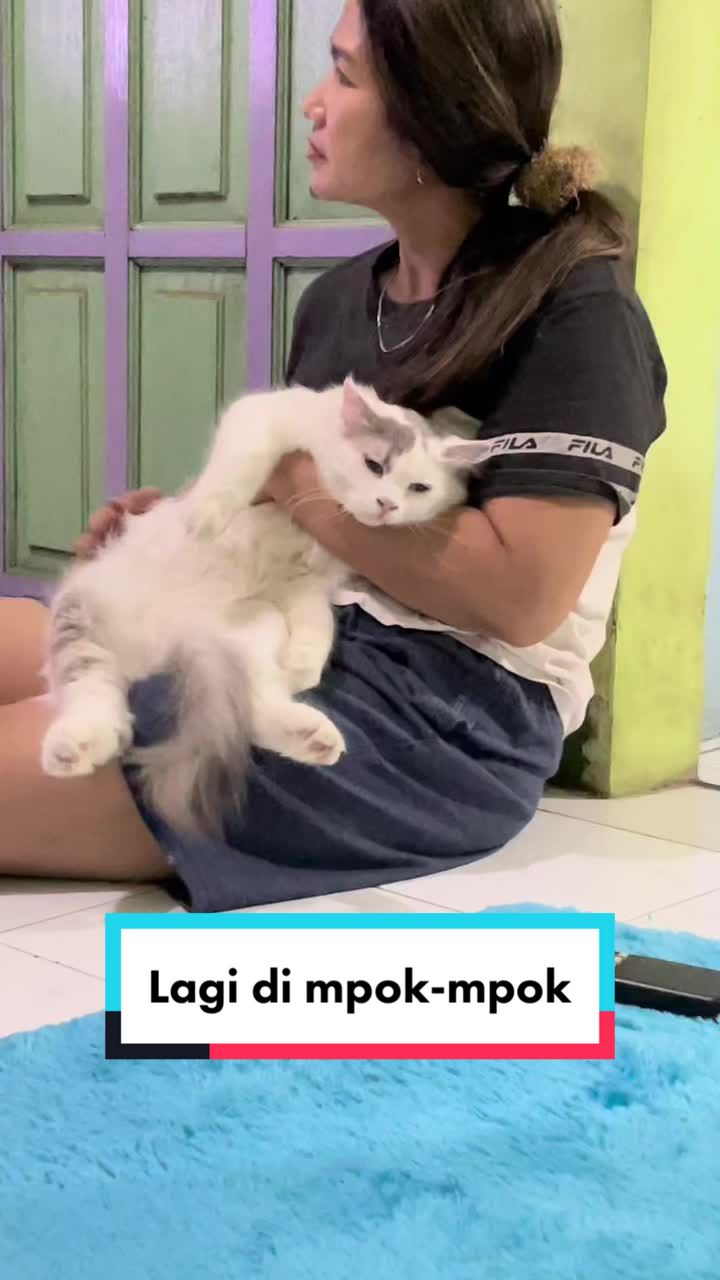 @anis hariani