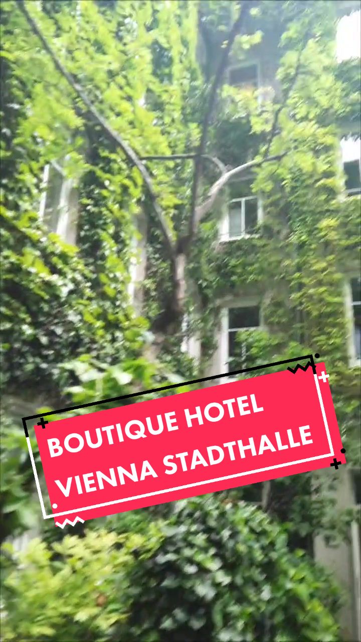 @SoulfoodReise🌍❤