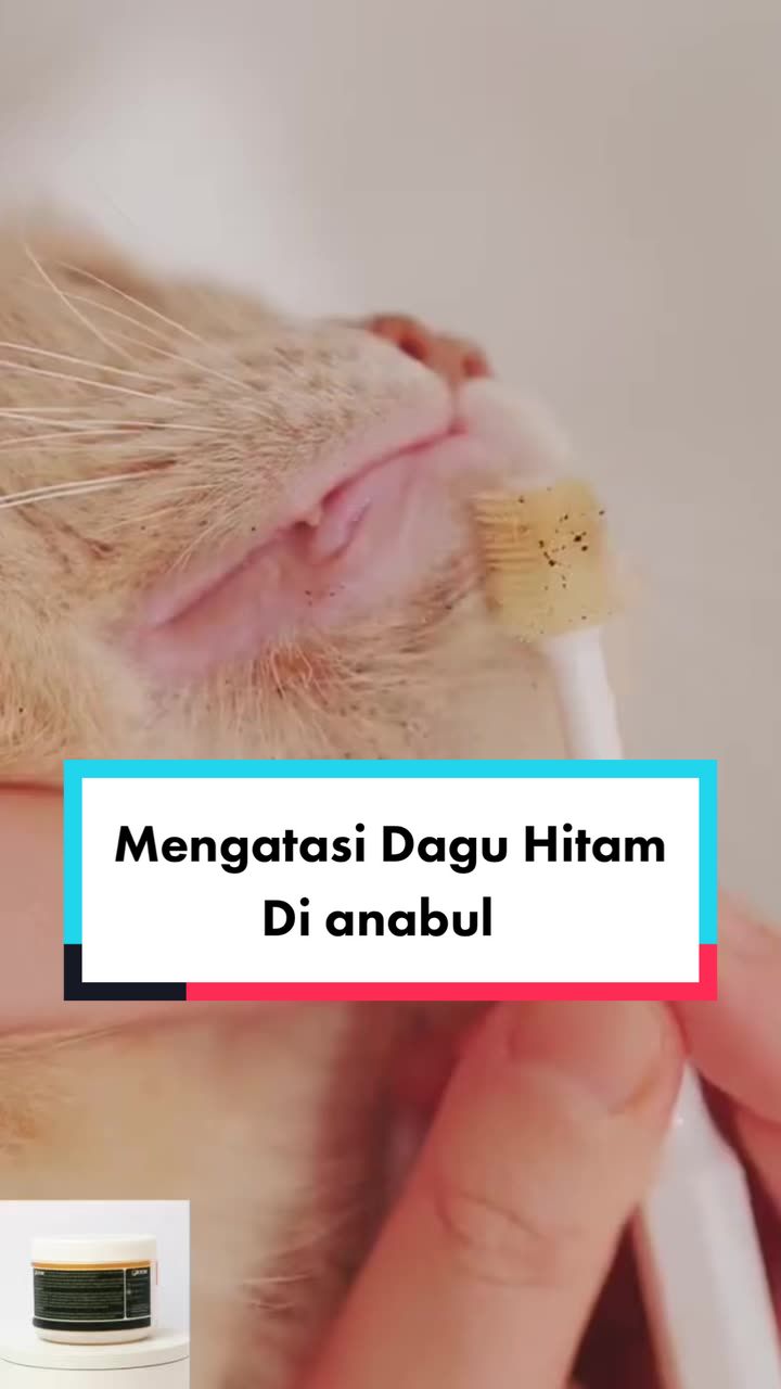@Groom Indonesia