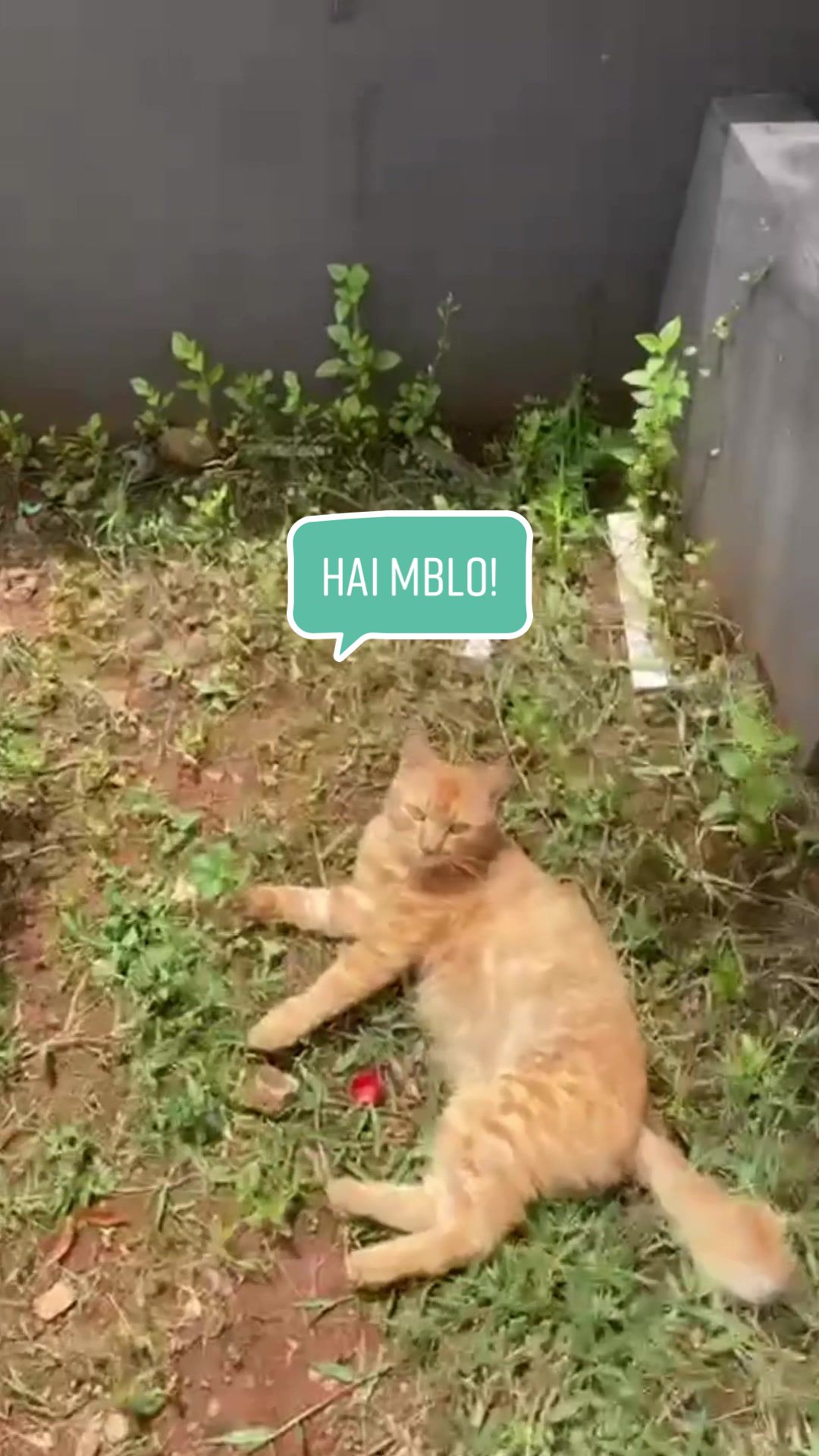 @Kegiatan di kala gabut