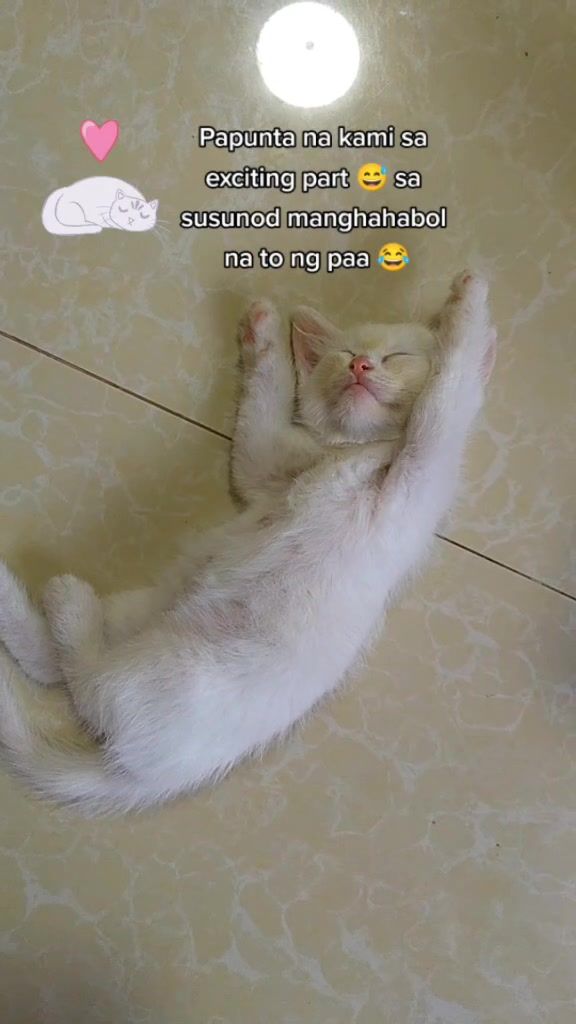 @🍀Khai🍀