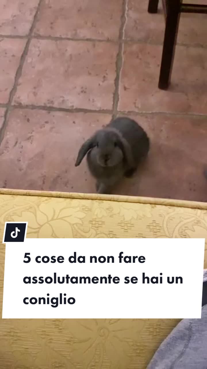 @Peter Rabbit