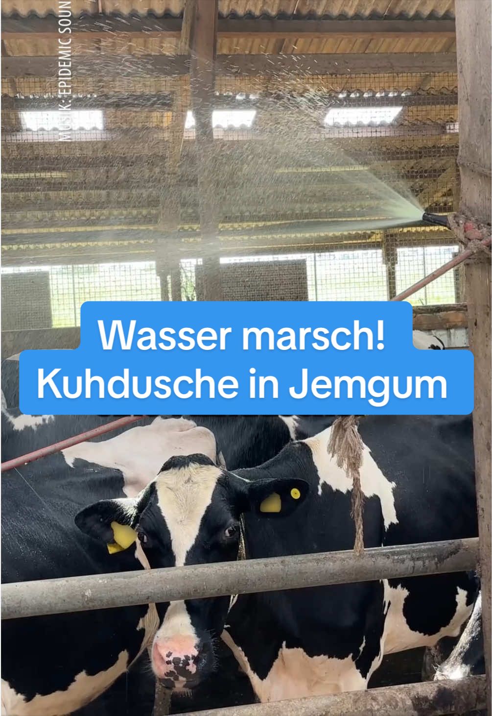 @Ostfriesen-Zeitung 🗞️