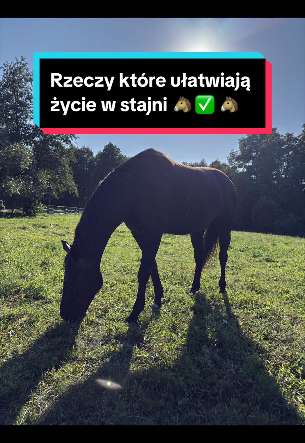 @Stado_Belli