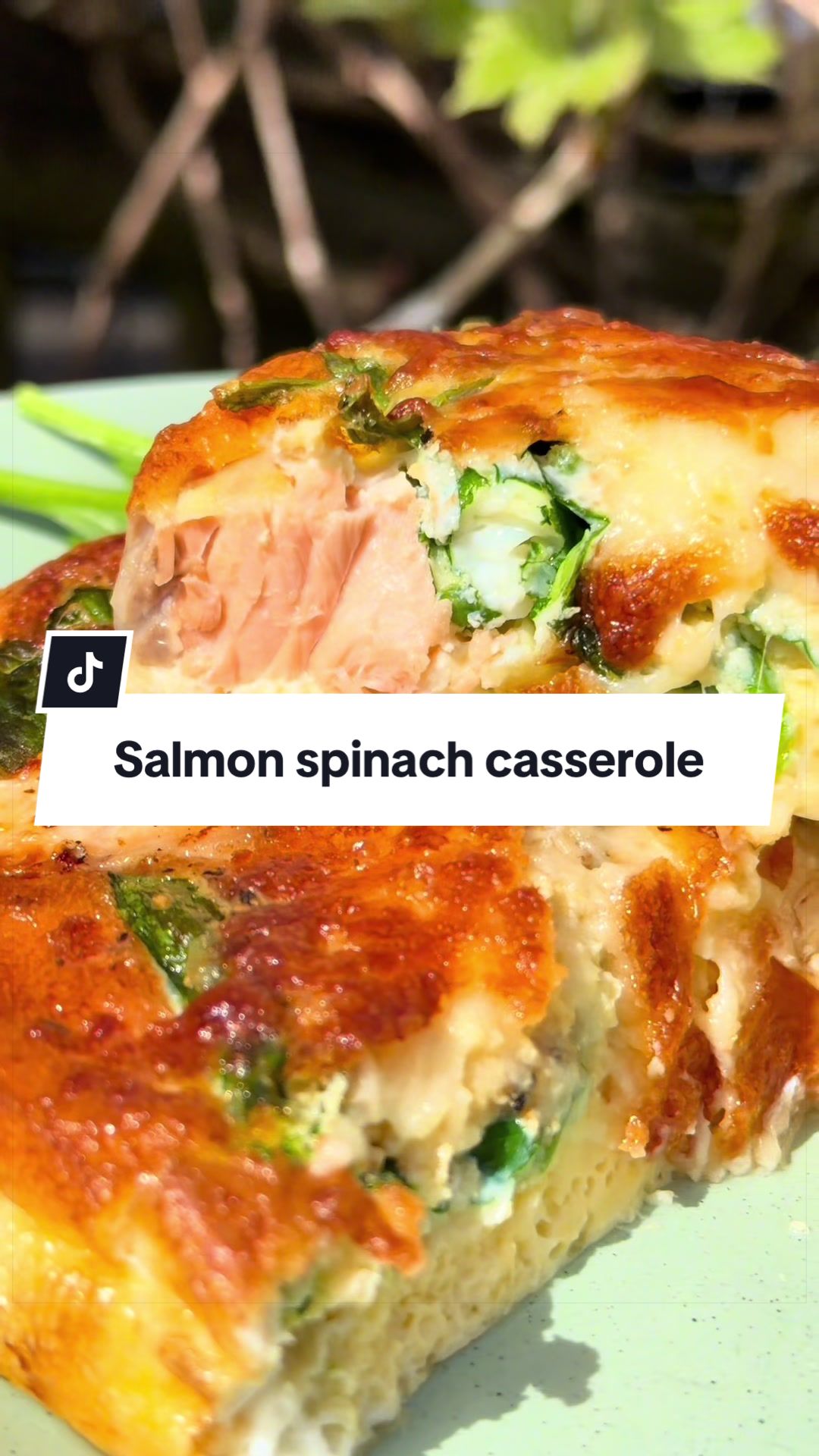 @AirFryer Recipes