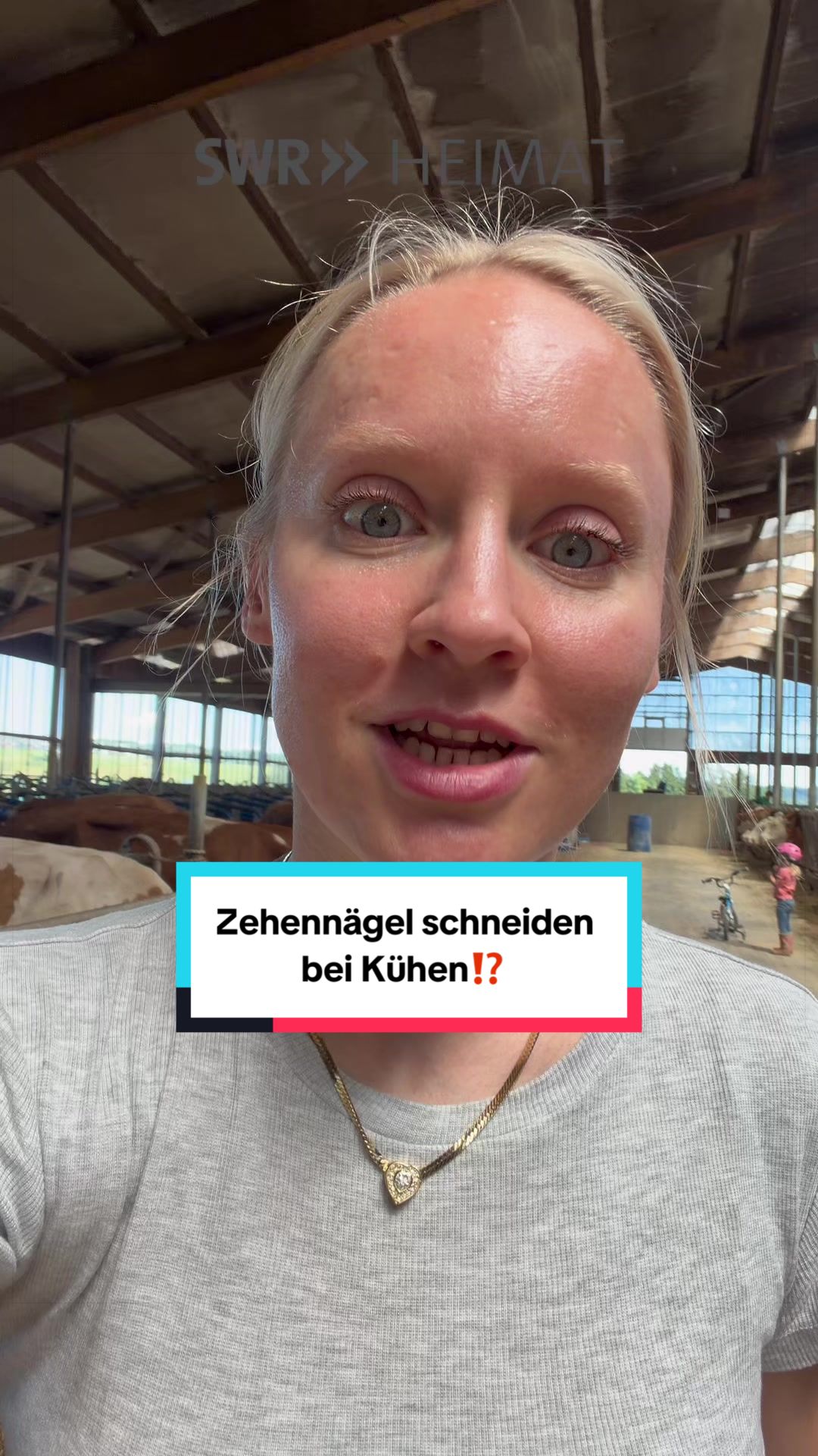 @Schwenks-Hofleben | SWR Heimat