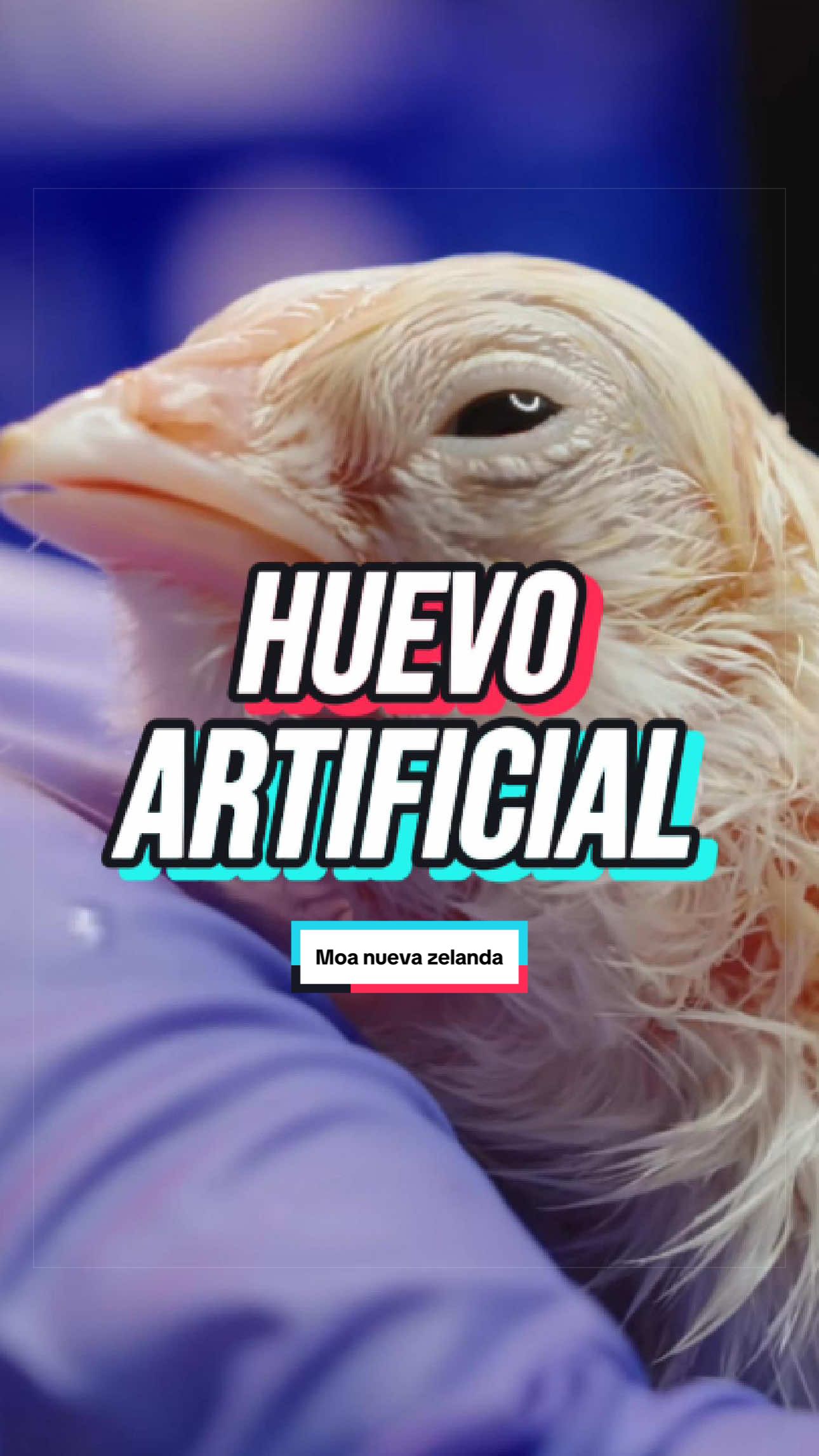 @ArchivoXtra&ntilde;o