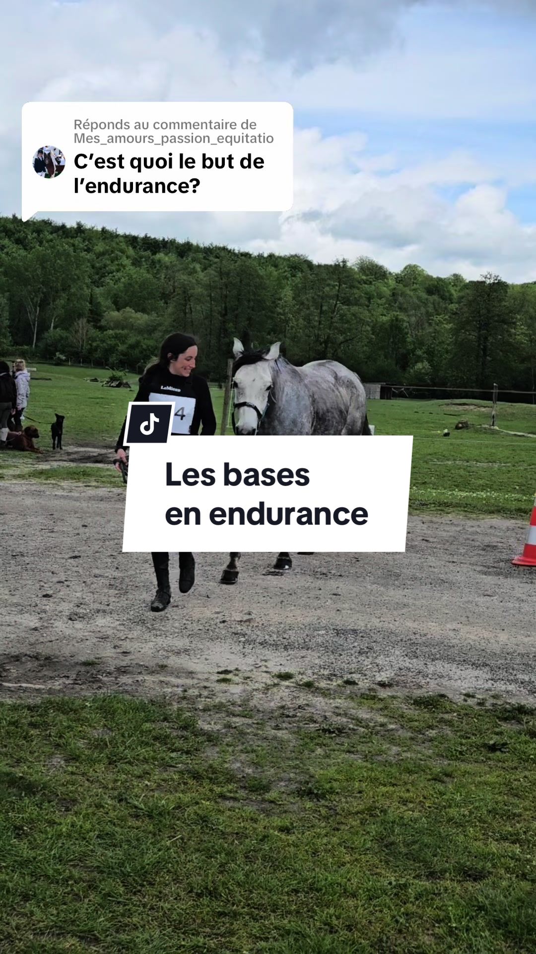@Réflexions Equestres