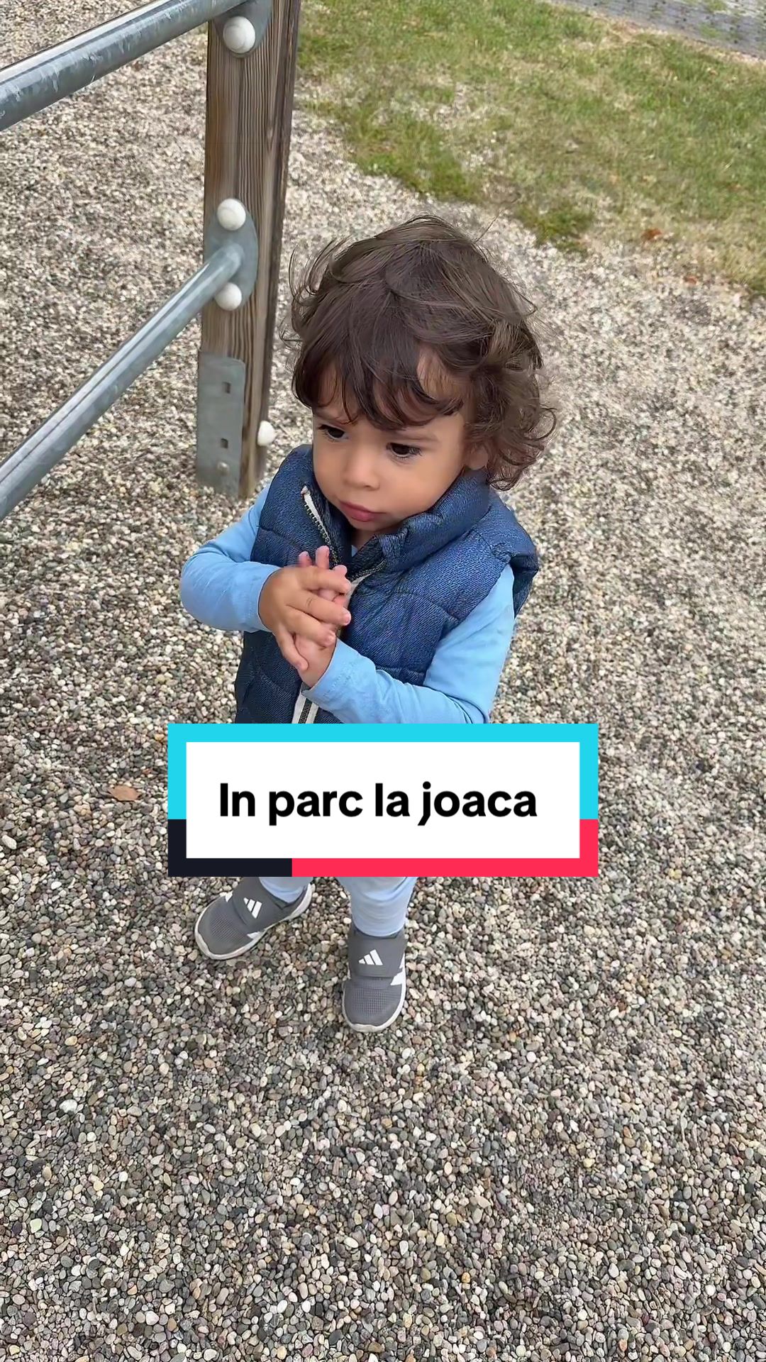 @Dan Corina