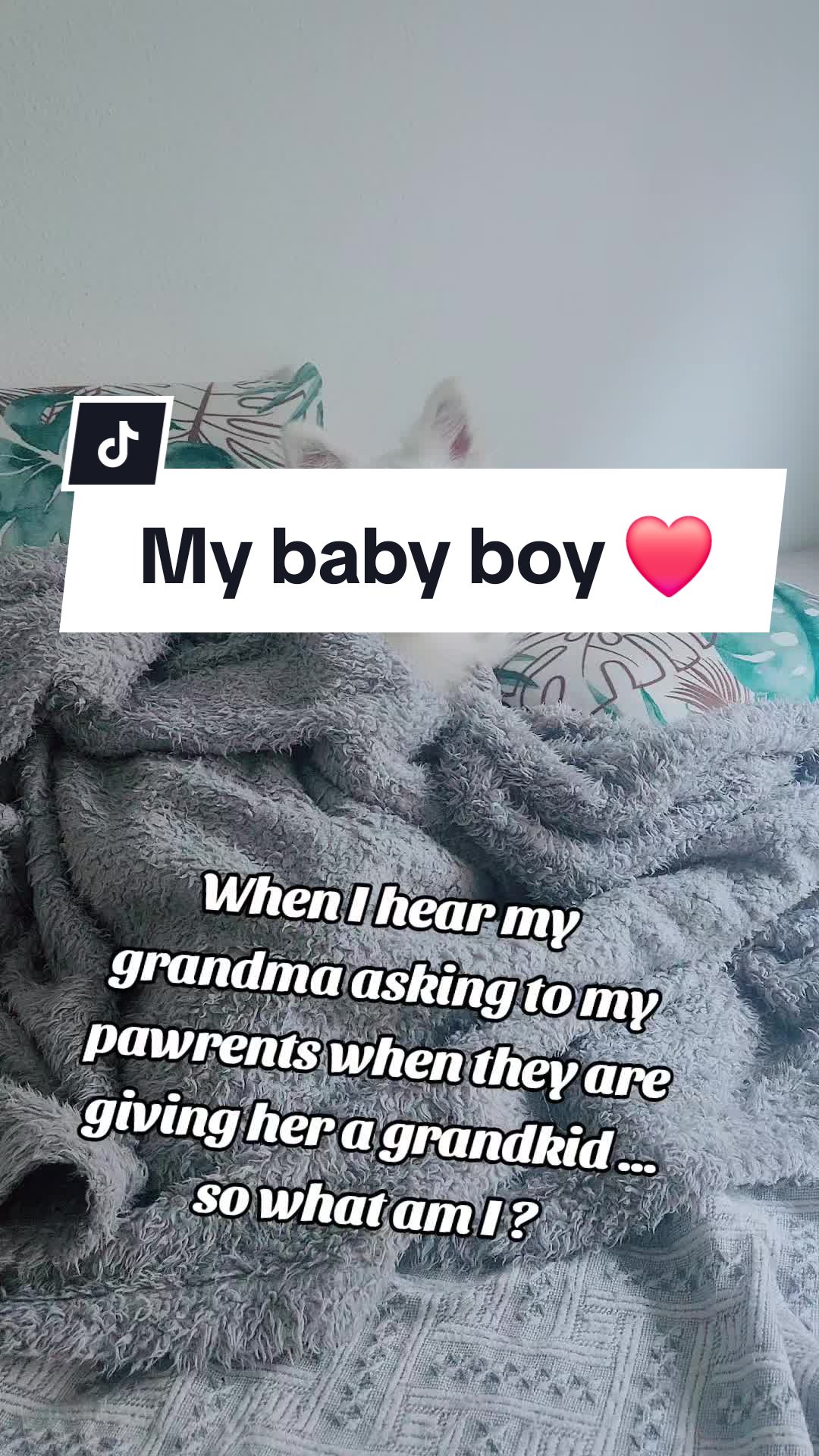 @TheWhitePrince👑
