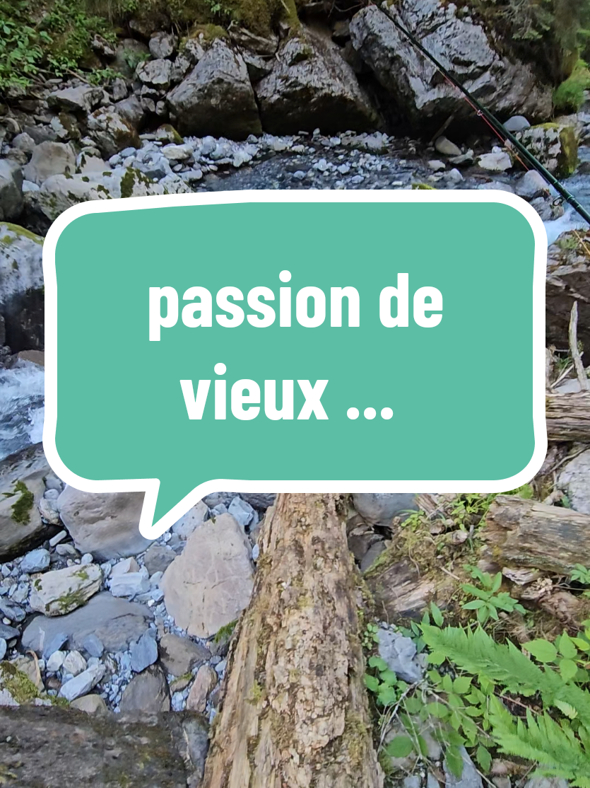 @pechenature74🧡