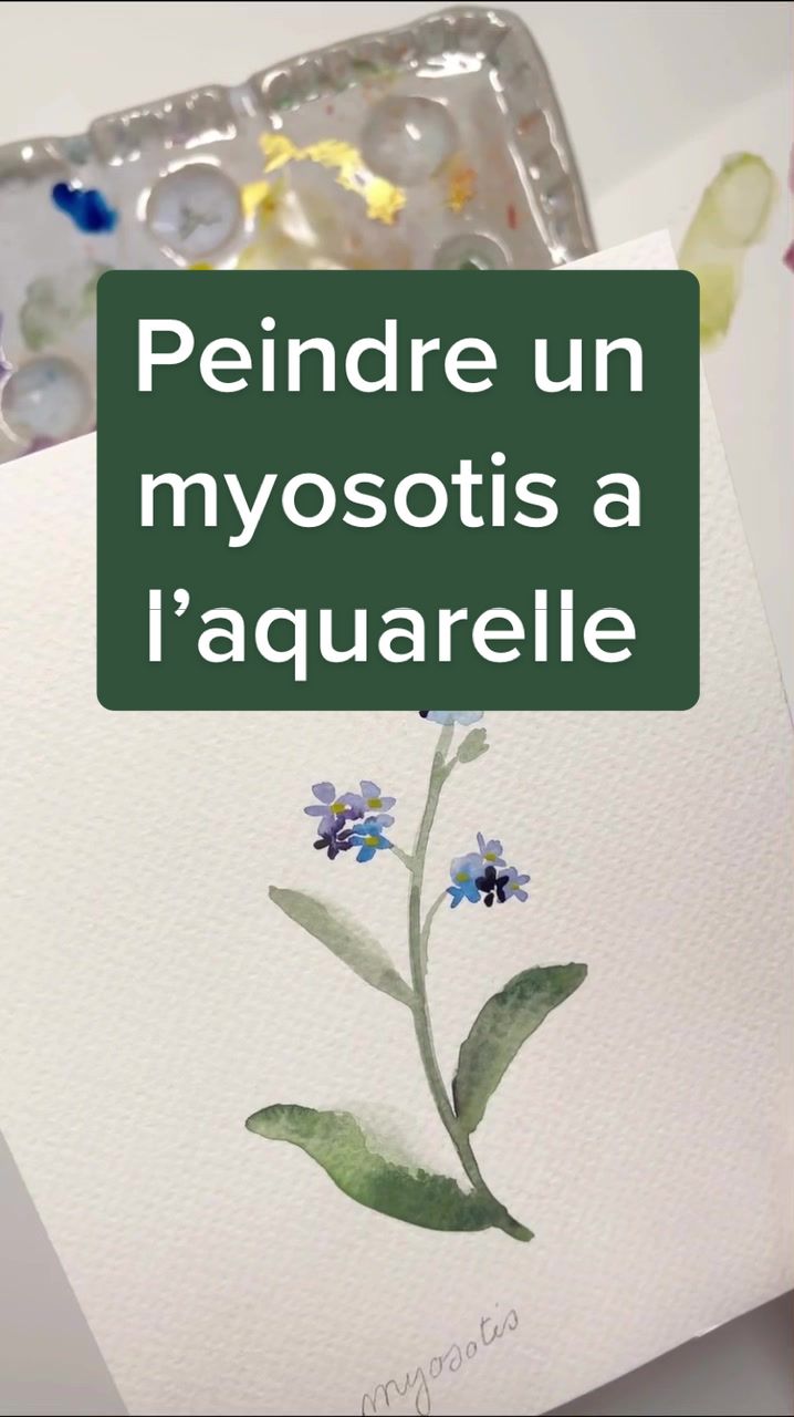 @Bonjourcouleurs