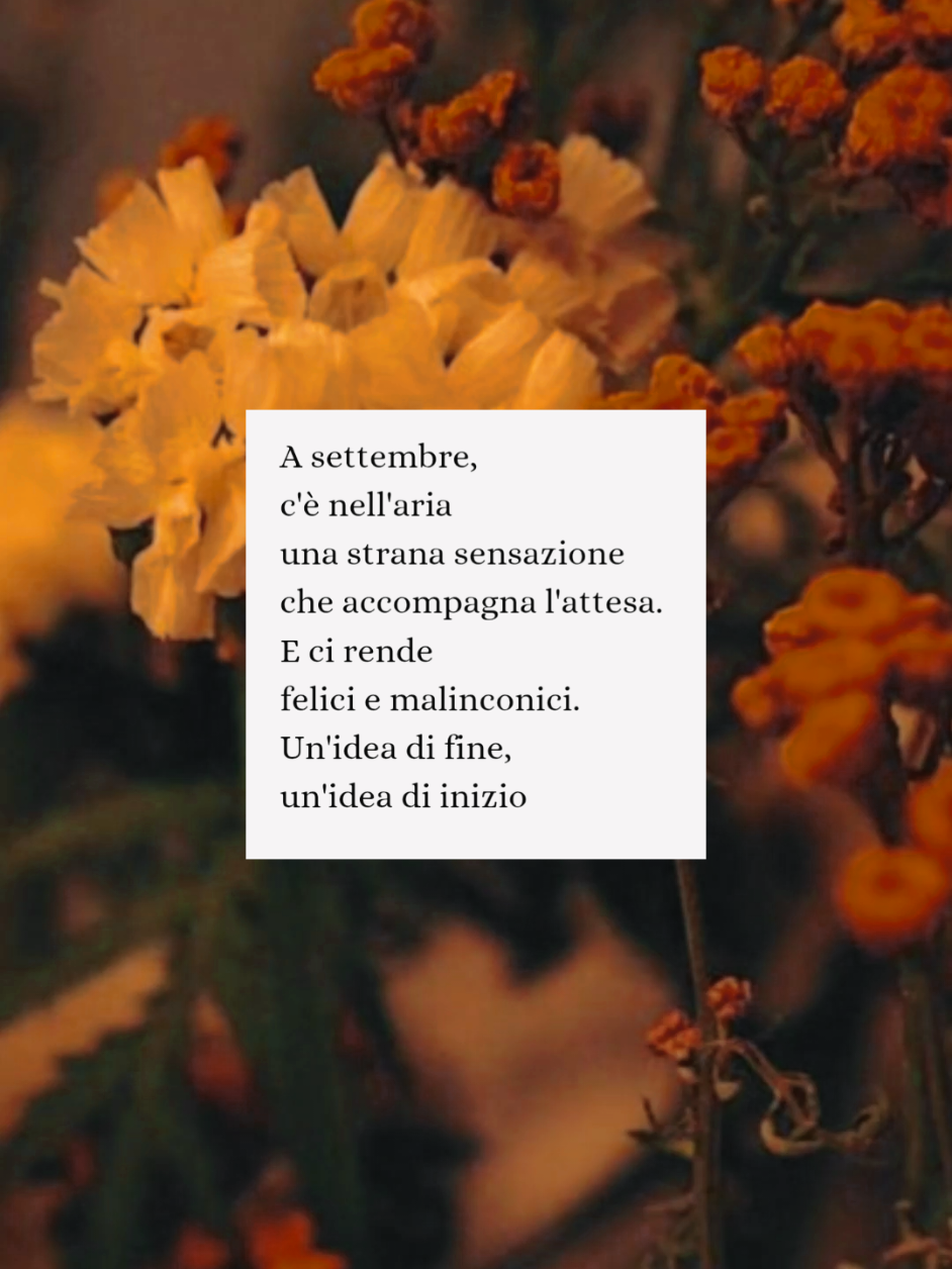 @Elle • Libri & Citazioni