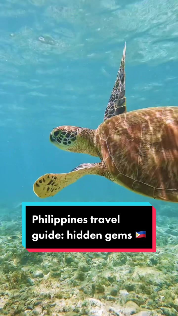 @Tom hartrey | Travel & video
