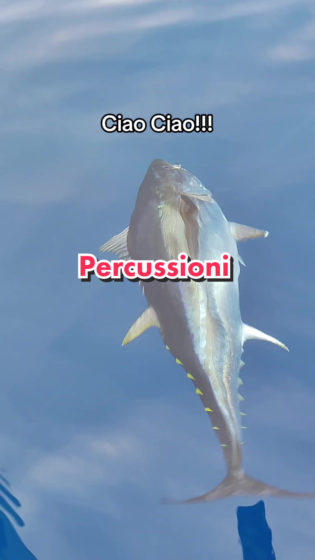 @SportFishingCalabria