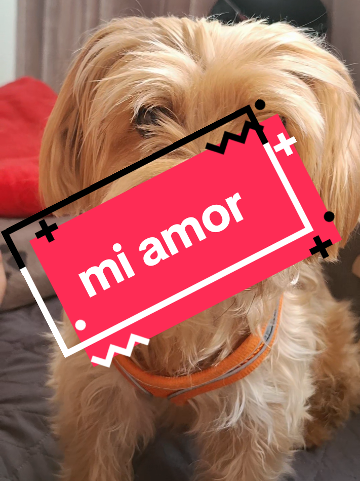 @Milu
