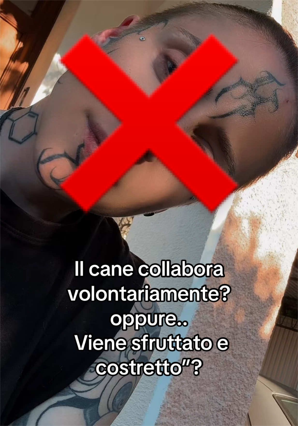 @𝐉𝐀𝐃𝐄 𝐉𝐀𝐘