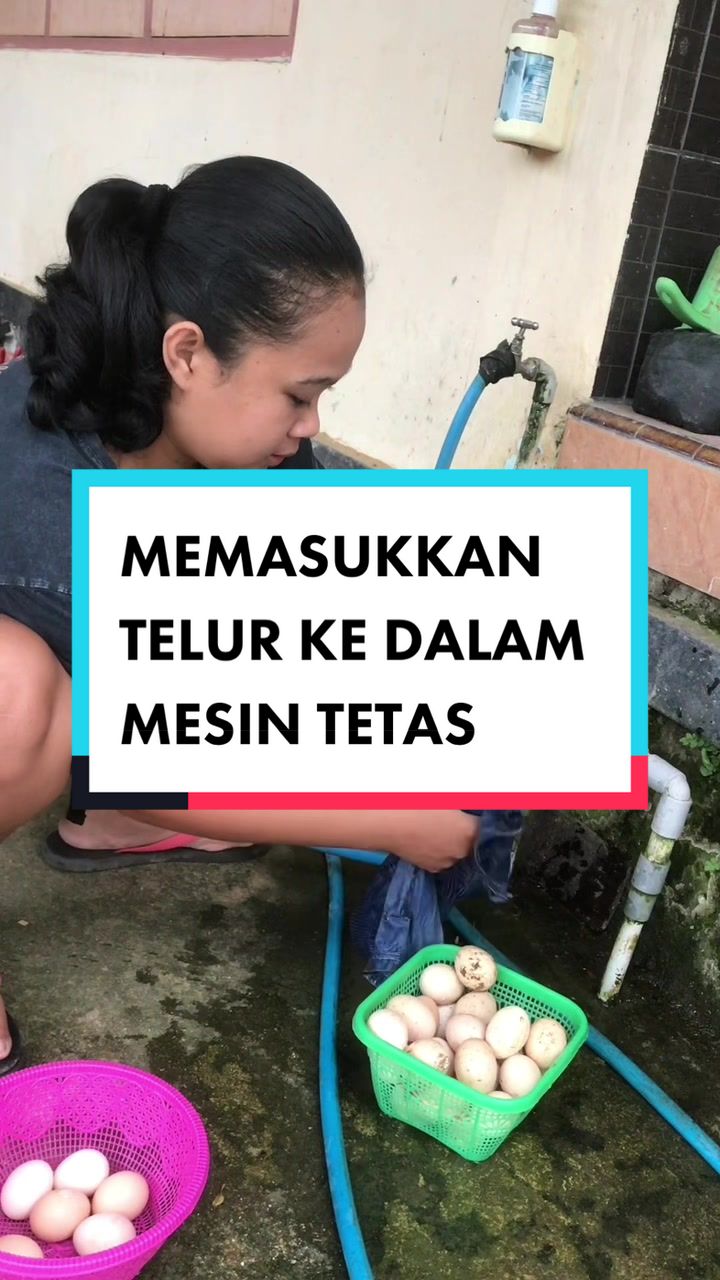 @TernakHebat