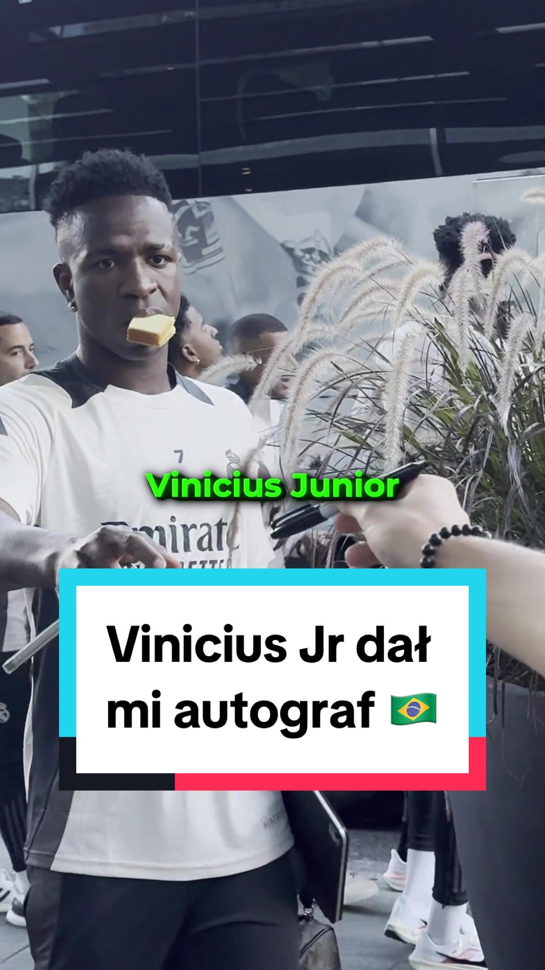 @Qesek