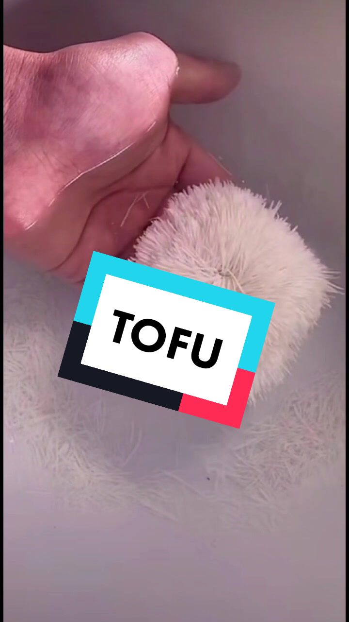 @vegandesign