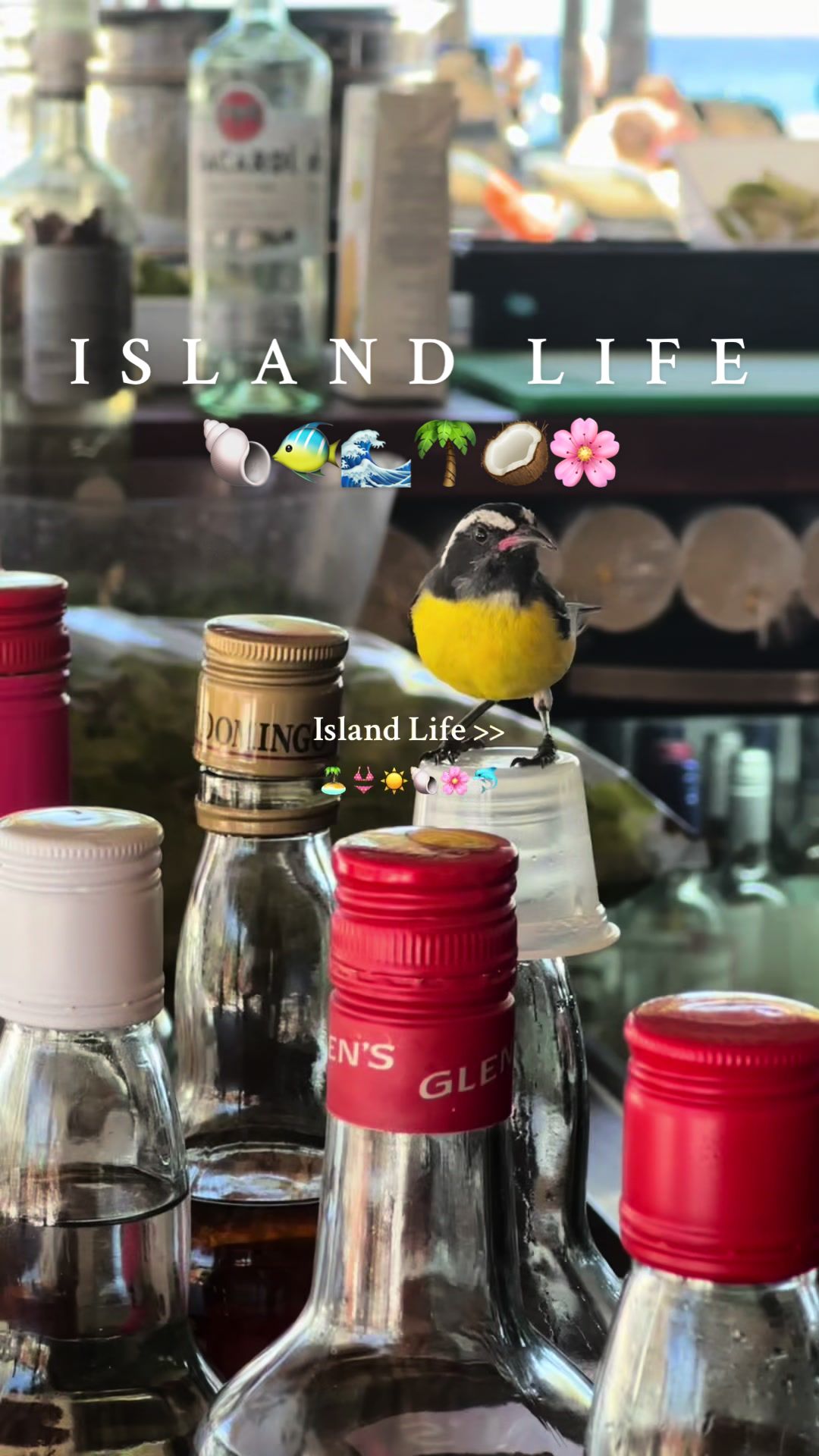 @𝚃.𓆉🌸