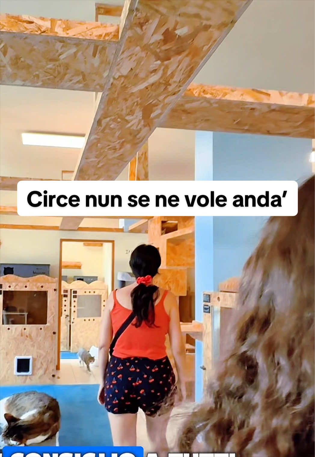 @condomicio