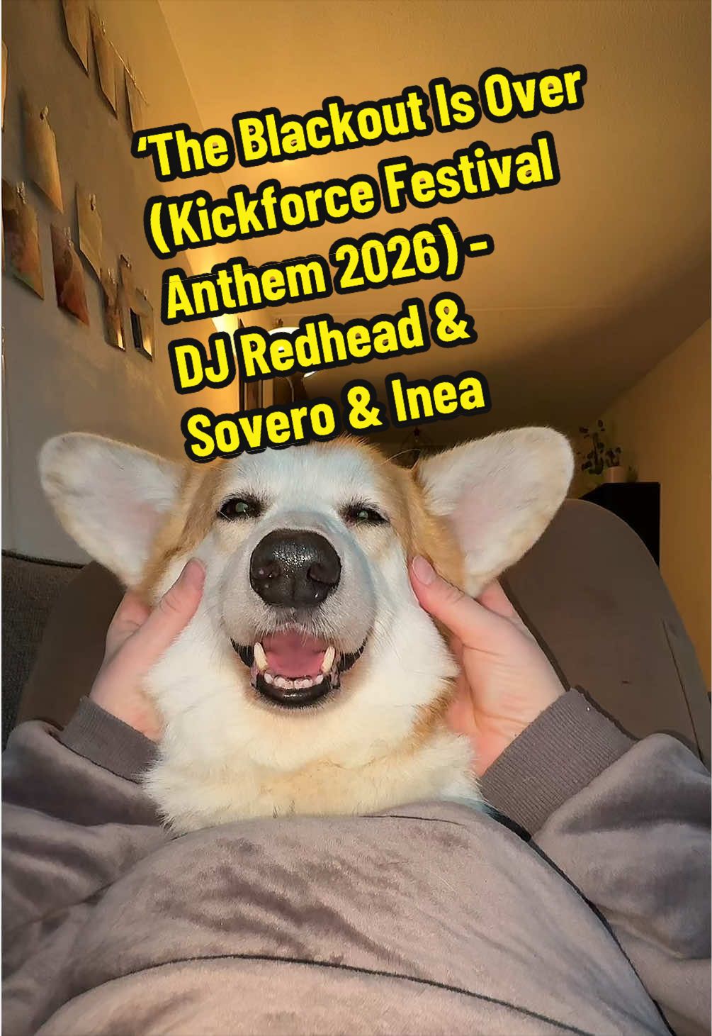 @Kickroll Corgi Charlie 🐶🚀