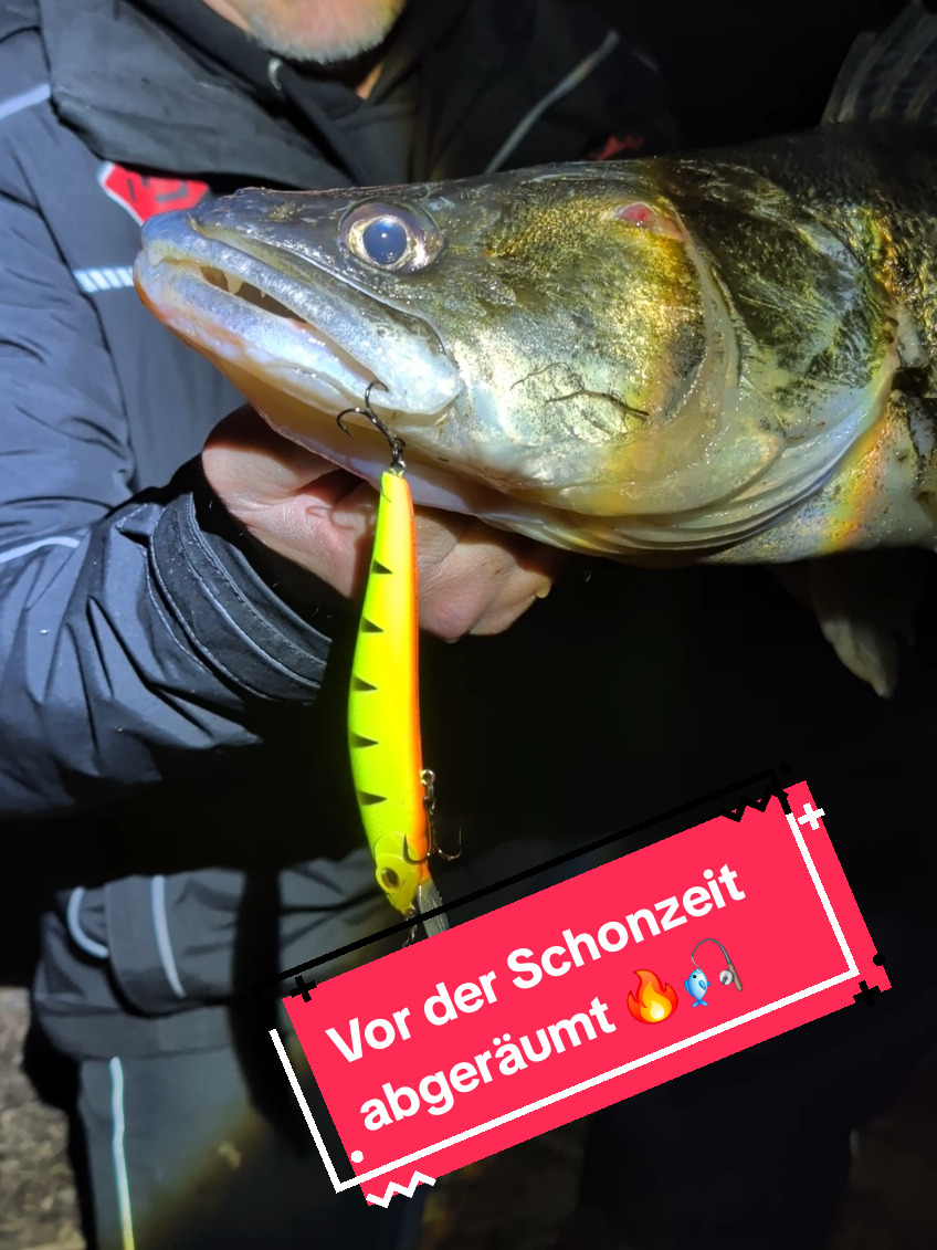 @Iron Claw_Fishing