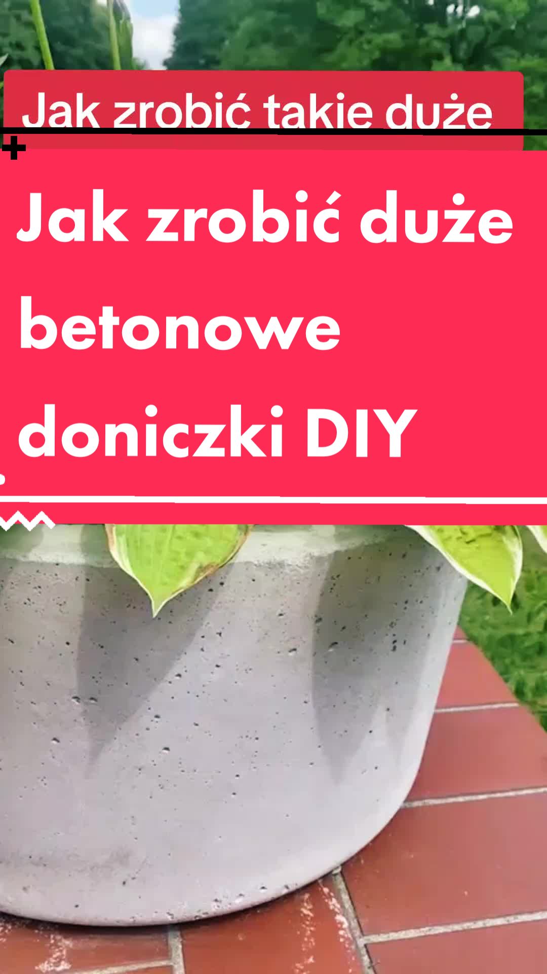 @Sylwia