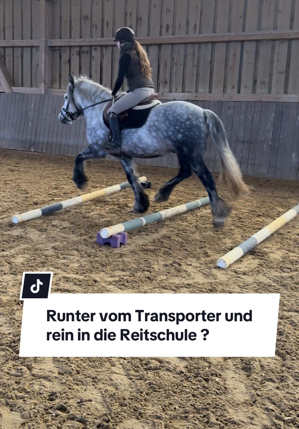 @Sophia • SL Reitschule
